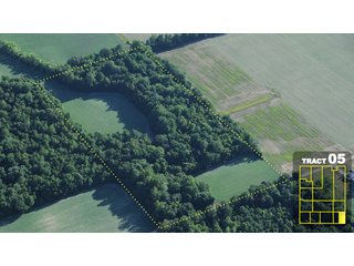 Property photo 26 - Land Auction 1035 Acres In 16 tracts - Farm Land - Sullivan Co. Indiana & Clark Co., Illinois